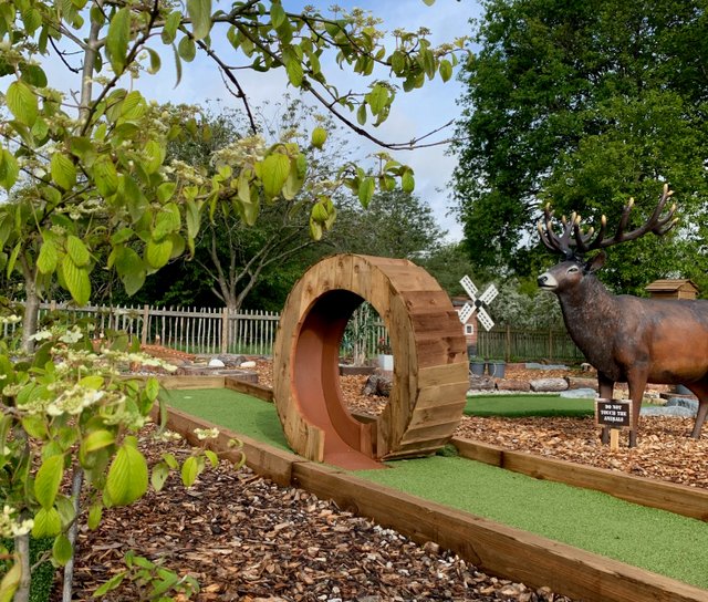 Adventure Golf Course in Wokingham and Reading  | Dinton Adventure Golf gallery image 2